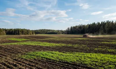 Весенняя посевная