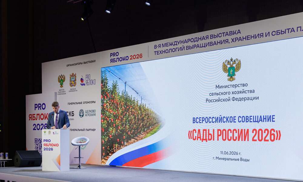 PRO ЯБЛОКО_2026_0913